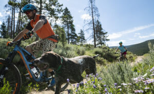 people biking on sunny trail with dog